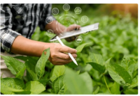 МЭРГЭШЛИЙН ЗЭРГИЙН СУРГАЛТ ЗАРЛАГДЛАА